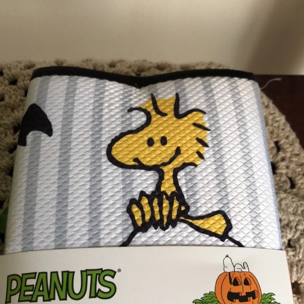 Peanuts SNOOPY Halloween Dish Drying Mats